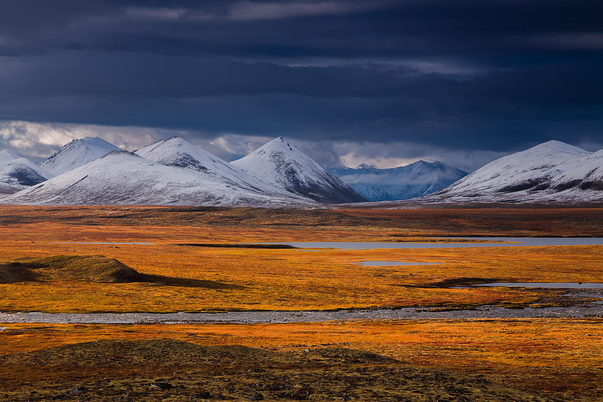 Арктическая тундра фото