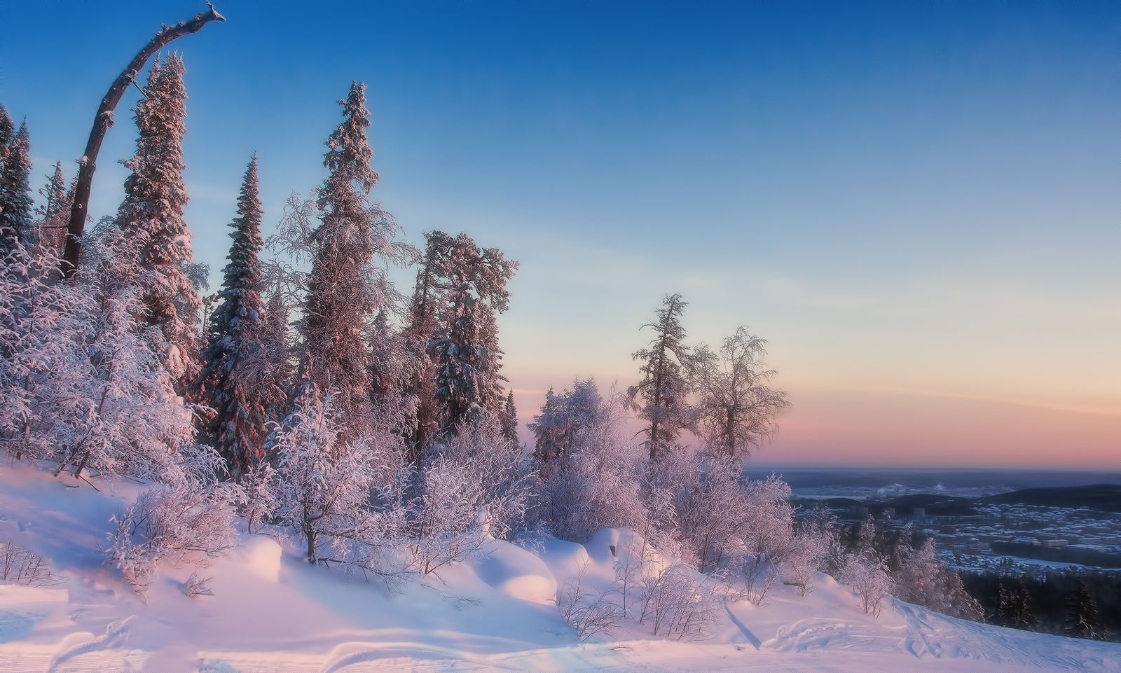 Природа зимнее утро картинки. Зимнее утро в хорошем качестве. Зимнее утро фотографии. Зимнее утро 3d. Туризм красивые картинки зимнее утро.