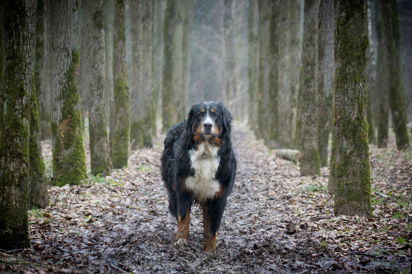 Nonstop Photos | Антон Романович / Без названия