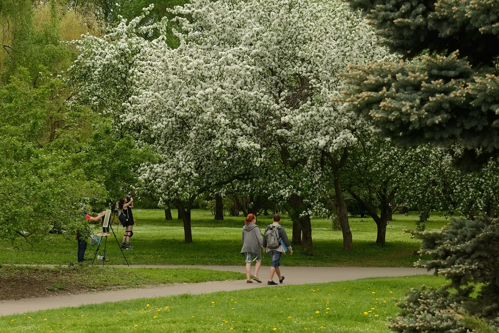 Ботанический сад весной Цицина Москва
