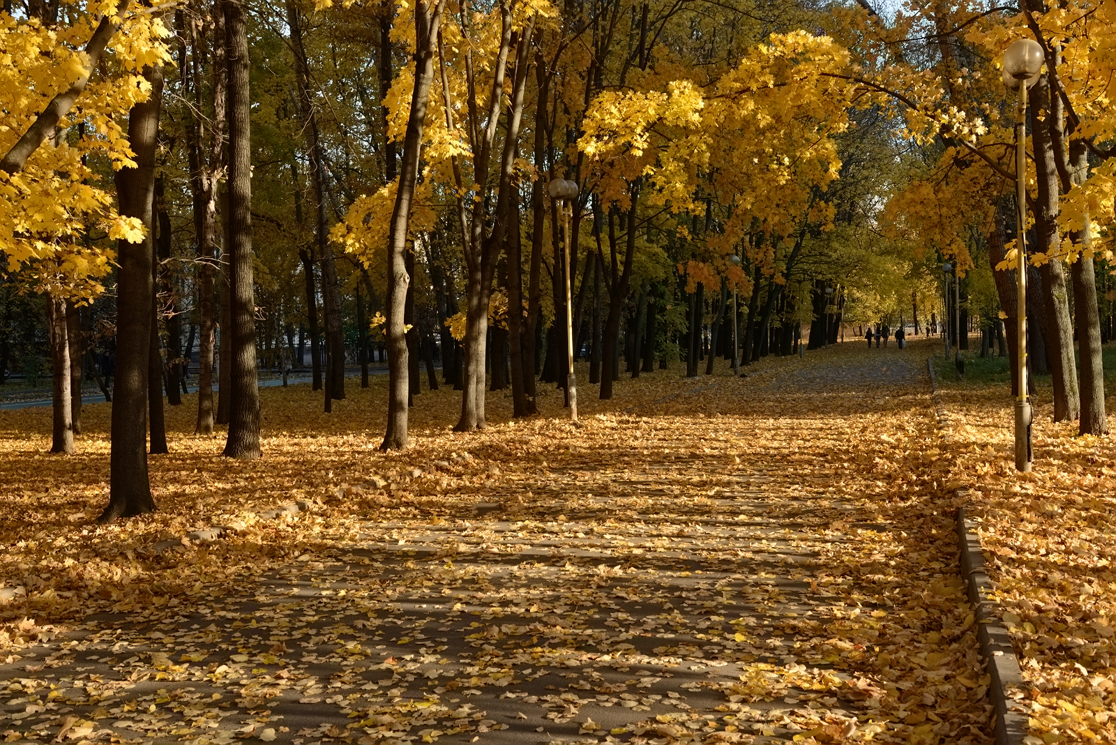 Москва осенью