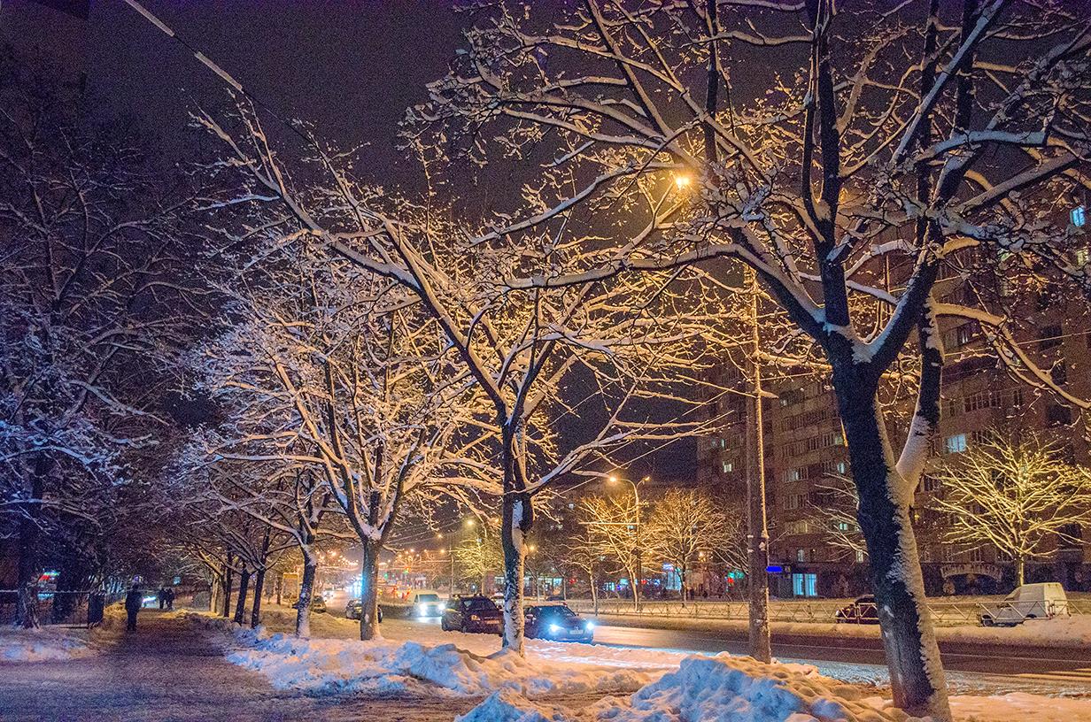 Фото Зимой Вечером