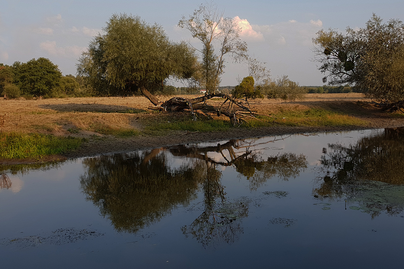 на реке рось