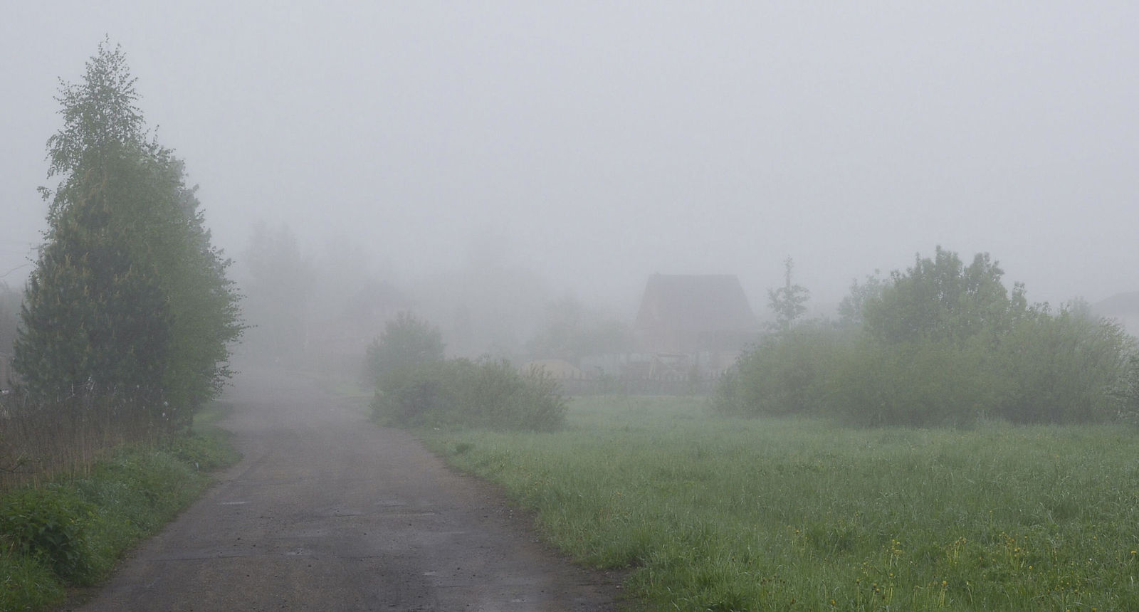 Песни летов туман. Туман в Подмосковье. Туман летом в Подмосковье. В Москве летом туманы. Москва туман лето.