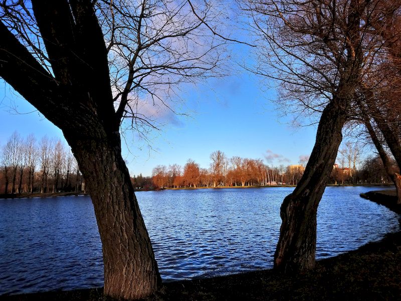 Солнце и тень