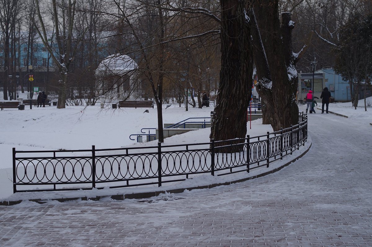 Екатерининский парк в москве зимой