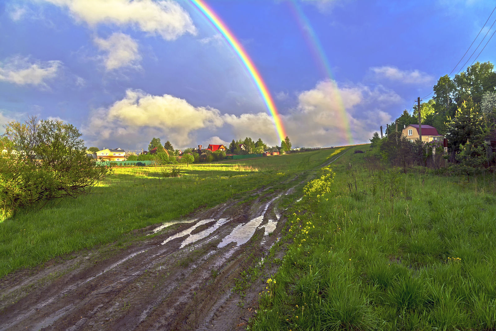 Природа после. Эти летние дожди. Гроза. Доброе утро после грозы. После дождя природа Подмосковье.