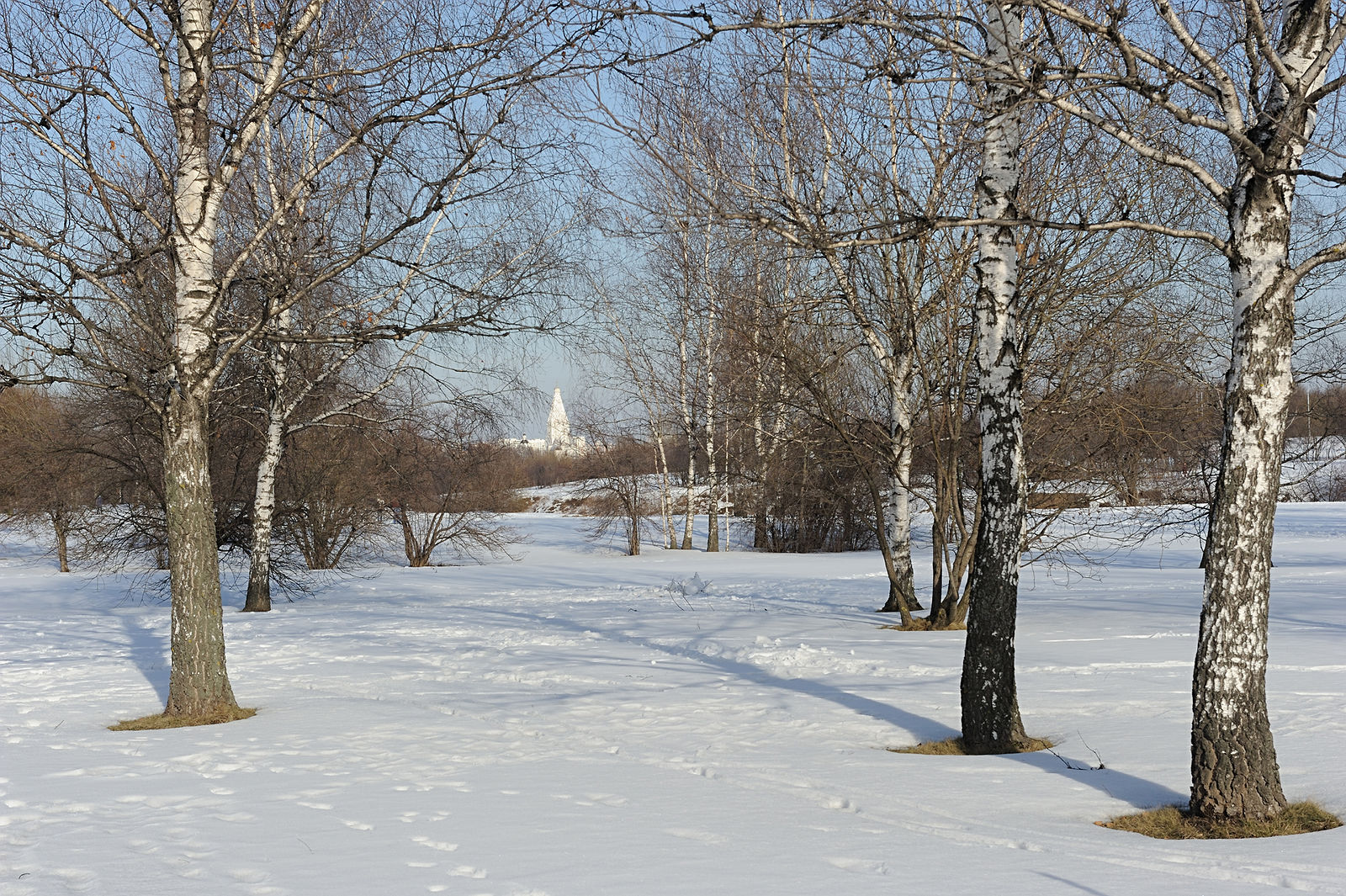 парк коломенское москва зимой