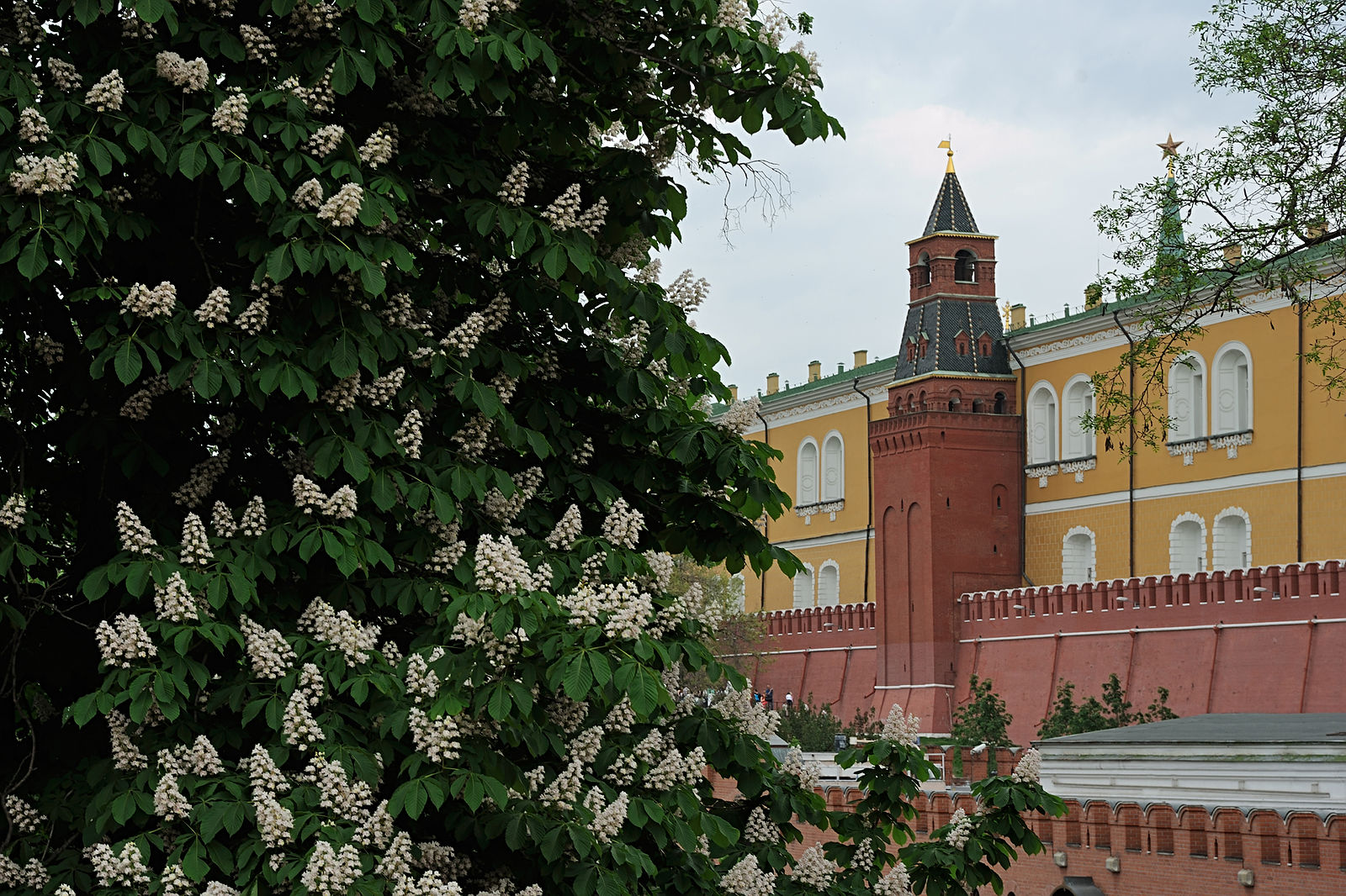 арсенальная башня московского кремля