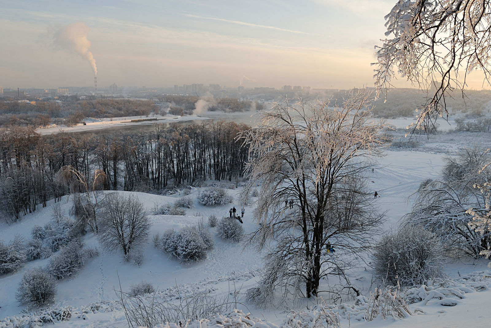 парк коломенское москва зимой
