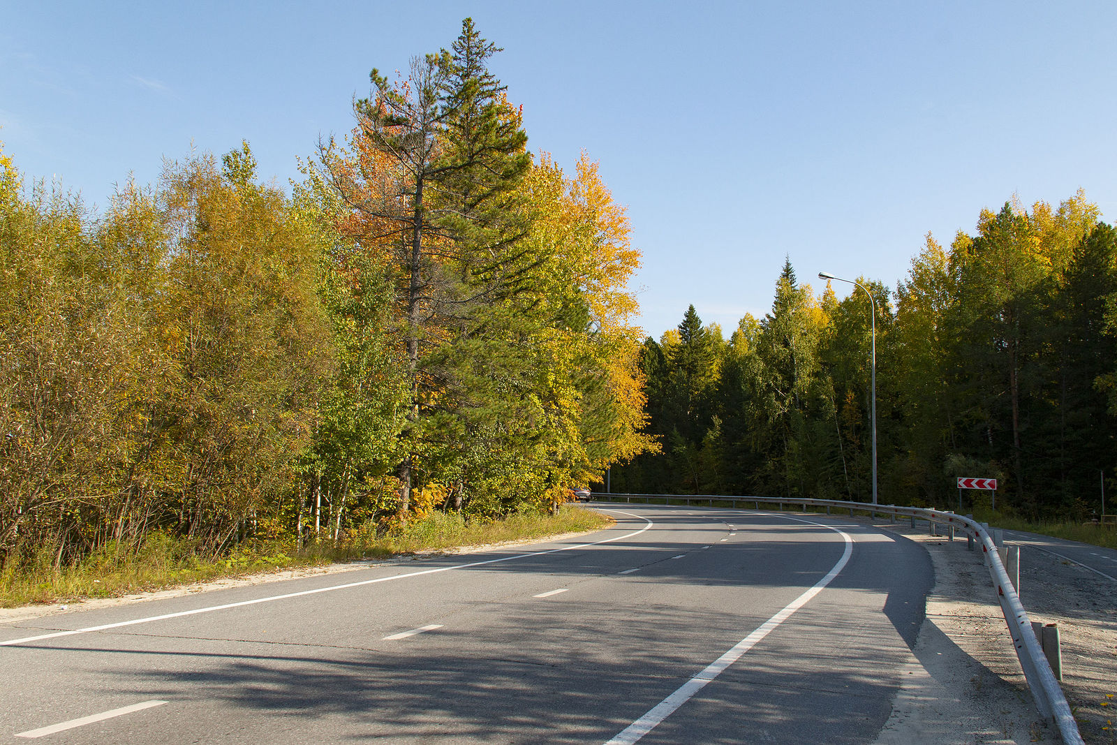 Большая проезжая дорога. Природный асфальт. Осень на вираже. Осеннее шоссе фото. Evergreen stumble.