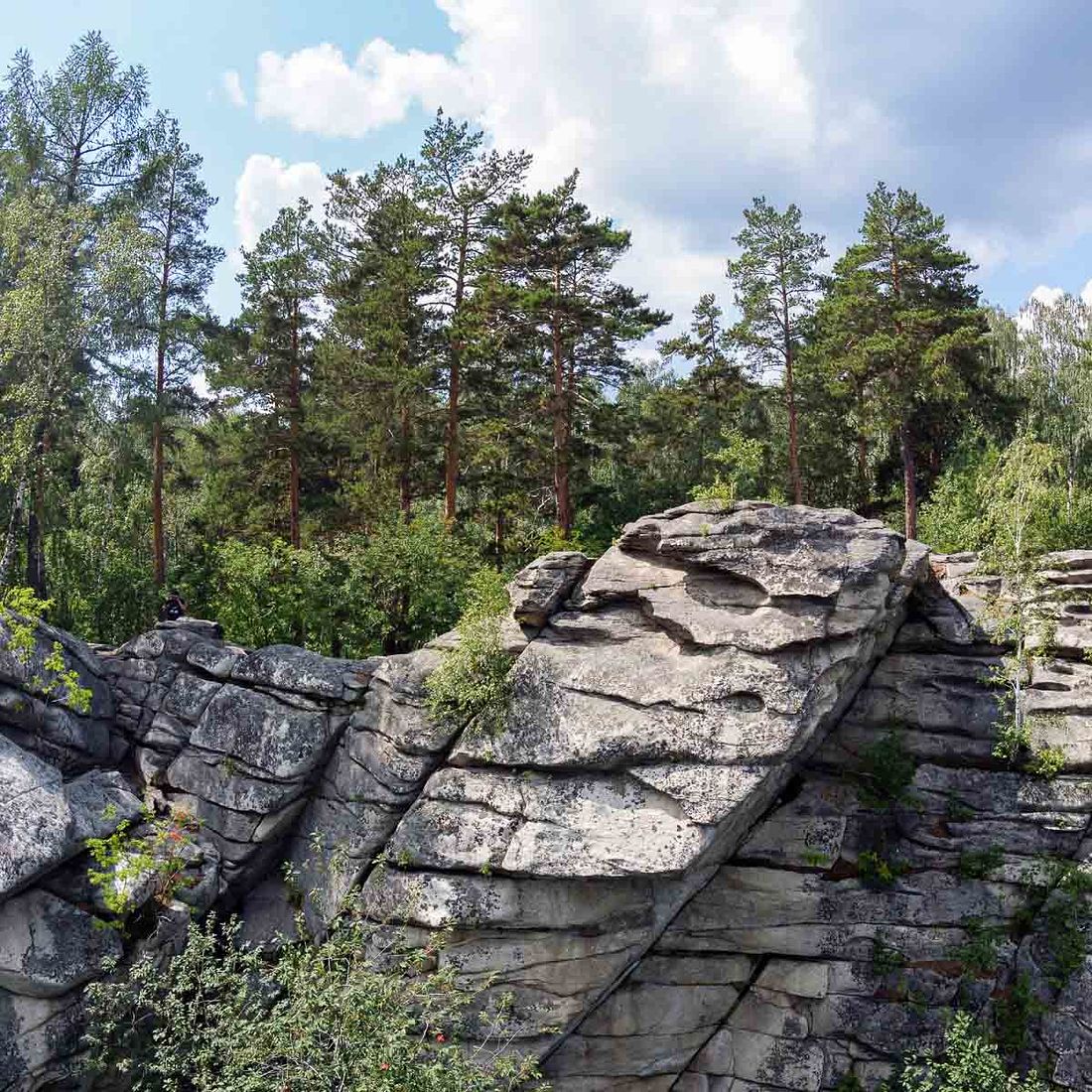 Аракульский шихан фото