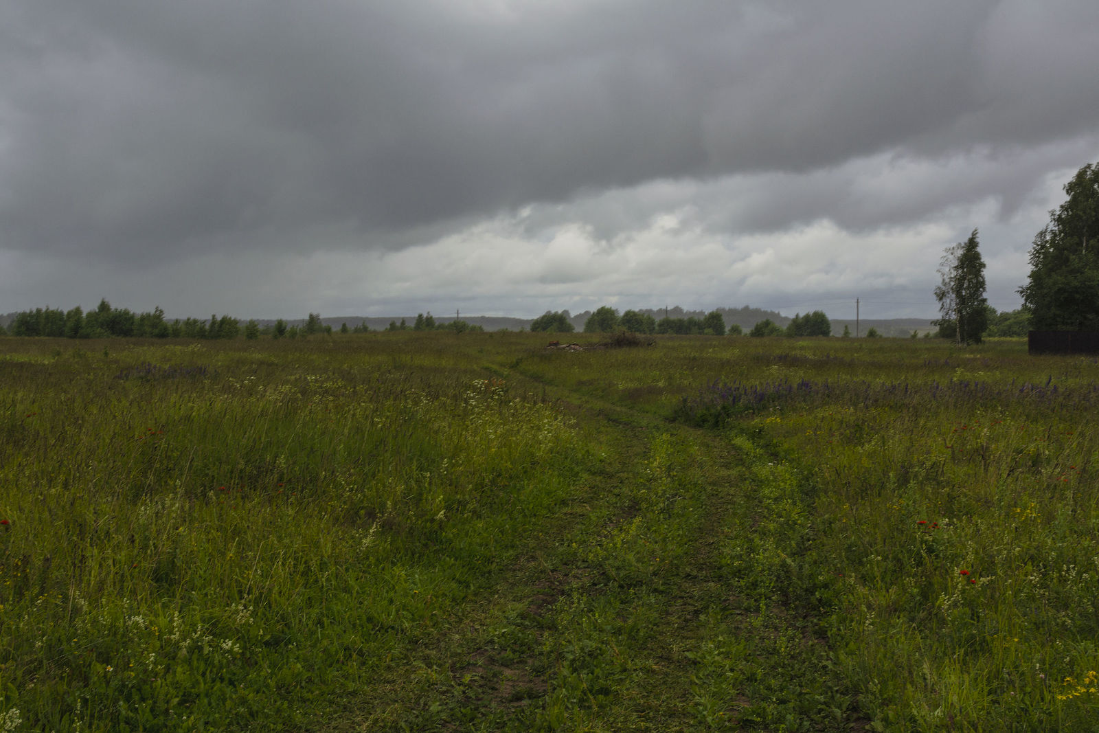 Дождь в поле. Летний ливень. Поле гроза дождь. Летний дождь. Дожди летом 2023.