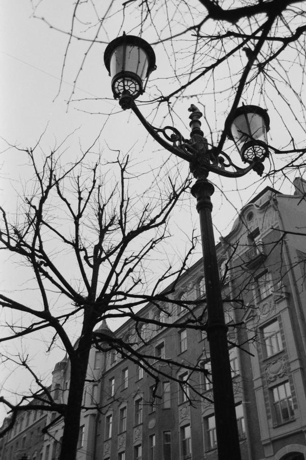 Nonstop Photos | Гоша Собакин / 4971-24