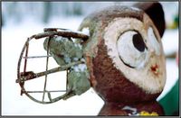 Чебуратор цв.