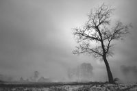 Герой в поле