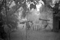 летний смог