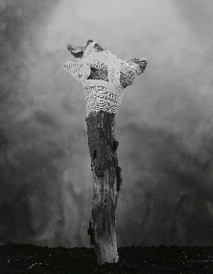 "Девятая жатва"