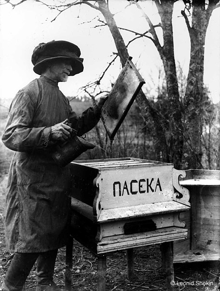 ©Леонид Шокин. «Пасечник. 1930-е гг. <br>  Современный  отпечаток  © Собрание  М.Голосовского»