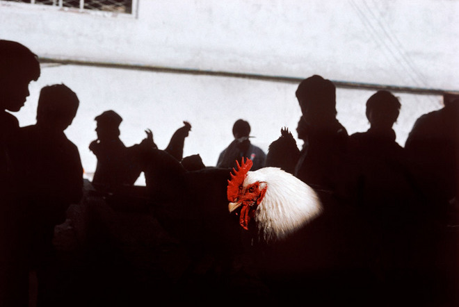 Георгий Пинхасов. УЗБЕКИСТАН. Ташкент. Рынок. 1992<br>
© Gueorgui Pinkhassov / Magnum Photos