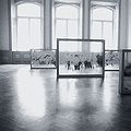 Аквариум для Истории
