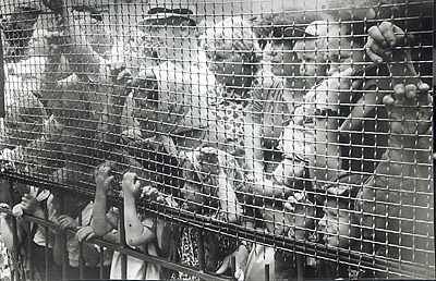 ©Анатолий Болдин. «Люди в зоопарке. Калининград. 1965»