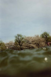 © Asako Narahashi. Ueno. C-Print. 2003