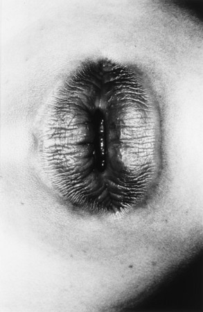 Nobuyoshi Araki.
Untitled, 1993 (Ohne Titel).
aus: Erotos.
Silbergelatine-Abzug, 57,5 x 38 cm.
Sammlung Thomas Koerfer.
© Nobuyoshi Araki