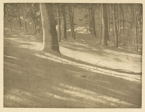<p>LeBegue_01: <br />
Decorative Figure <br />
LE BEGUE, RENE, b<nobr>.1857—1914</nobr> <br />
Camera Notes Vol. 3 No. 1, 1899 <br />
12.5 × 19.6 cm <br />
Photogravure</p>