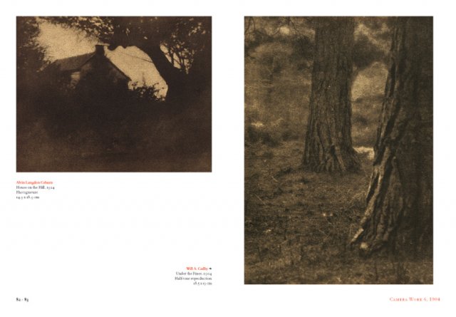 <p>Steichen_21: <br />
Landscape <br />
STEICHEN, EDWARD, b<nobr>.1879—1973</nobr> <br />
Camera Notes Vol. 4 No. 3, 1901 <br />
12.5 × 16.3 cm <br />
Photogravure</p>