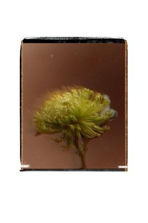 Алена Свиридова