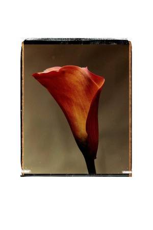 Иван Ургант