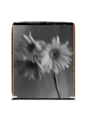 группа Фабрика