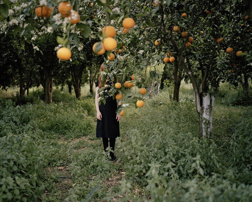Анни Леппяля "Orange Tree", 2008