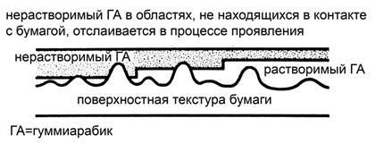 Поверхность отпечатка после засветки и перед промывкой