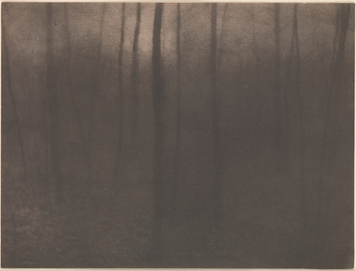 Edward J. Steichen (American (born Luxembourg), Bivange 1879–1973 West Redding, Connecticut).

Woods Twilight.

1899.

Platinum print.

15.2 x 20.1 cm (6 x 7 15/16 in.).

Alfred Stieglitz Collection, 1933.