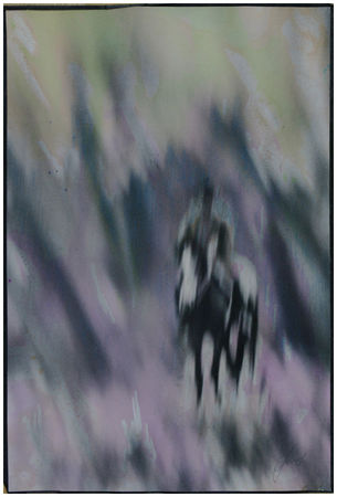 Валентин Поляков. В осеннем лесу (авторская ручная черно-белая печать, авторская обработка)