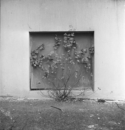 Александр Слюсарев. Из серии «В формате»