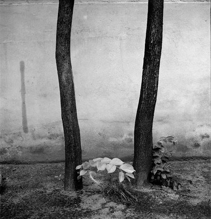 Александр Слюсарев. Из серии «В формате»