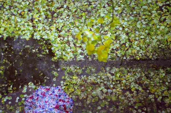 Александр Слюсарев. Из серии «Межсезонье»