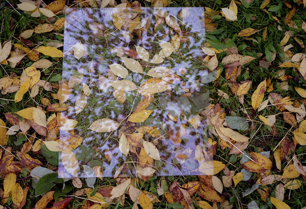 Александр Слюсарев. Из серии «Межсезонье»