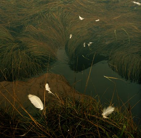 © Софья Татаринова © Софья Татаринова