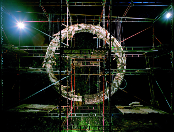 Ilkka Halso,Tree Revolutions 1, 2008, photograph