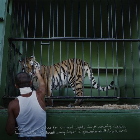 Jari Silomaki, My weather diary, 2001-2012, from instalation that includes 126 photographs