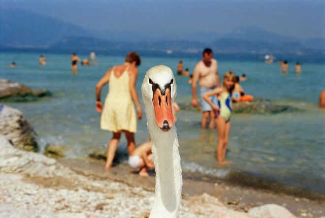 «Life’s a Beach» - «Eastbourne» (1995-1999) © Martin Parr / Magnum Photos
