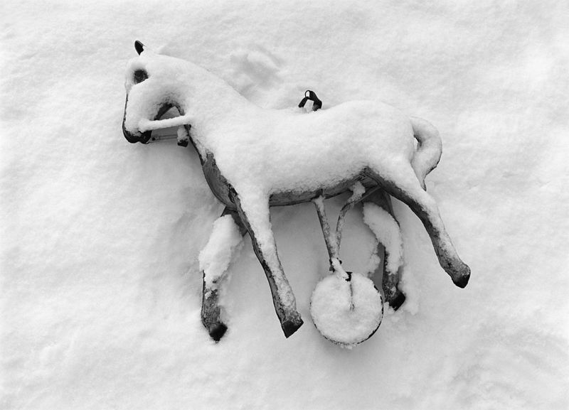 ©Флор Гардуньо. «Лошадь в снегу, Швейцария, 2006»