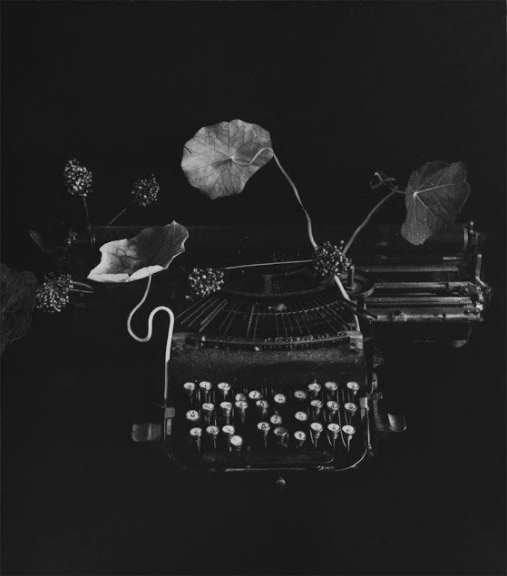 &copy; Анатолий Кулаков