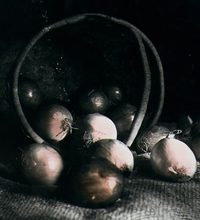 Работы учащихся Школы фотографии "Петербургские фотомастерские"