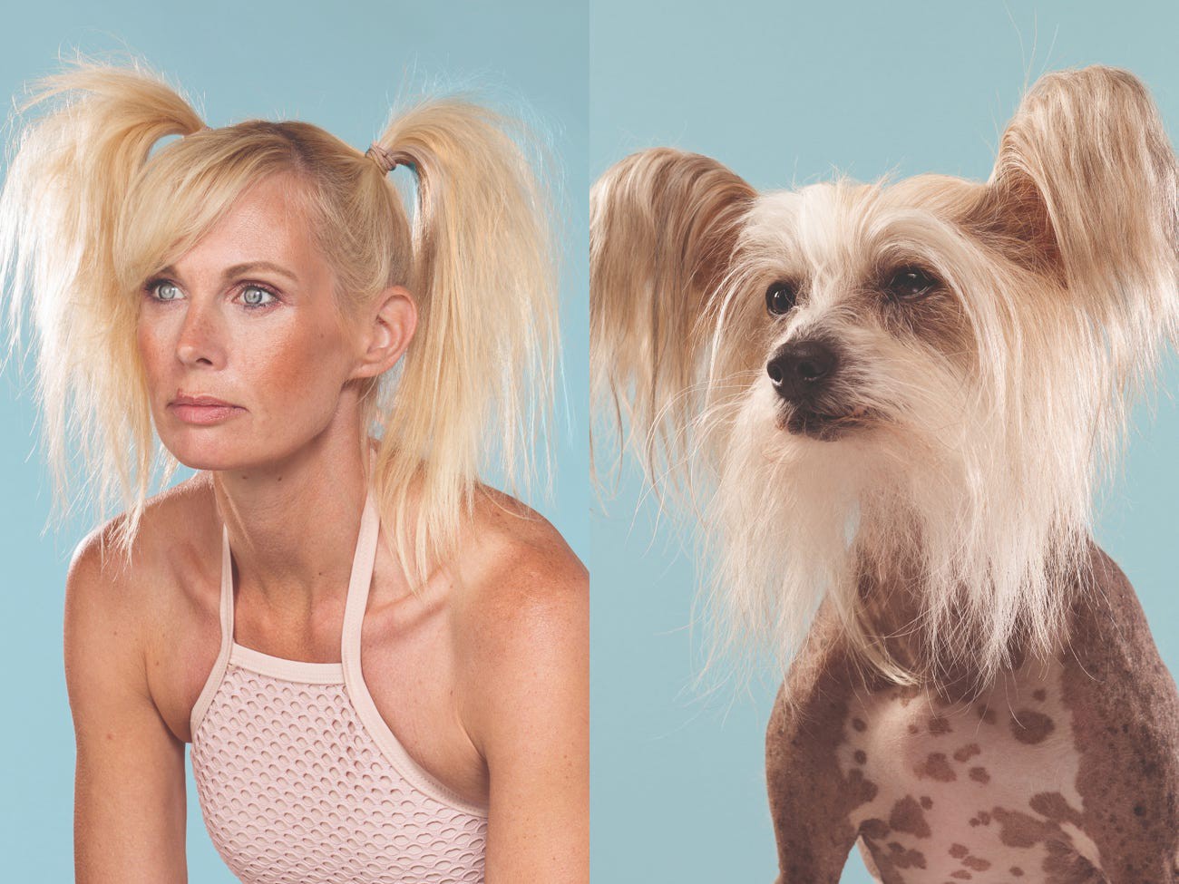 Фотограф снял 15 парных портретов собак и их владельцев, которые до смешного похожи друг на друга. Габби Шоу