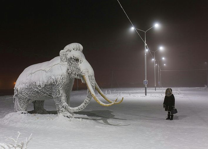 Победитель 2019, из проекта Моя дорогая Якутия, © Алексей Васильев, Россия